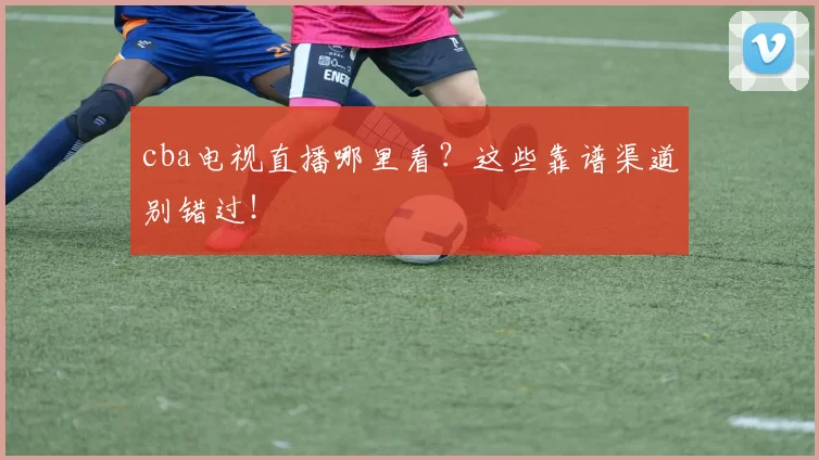 cba电视直播哪里看？这些靠谱渠道别错过！