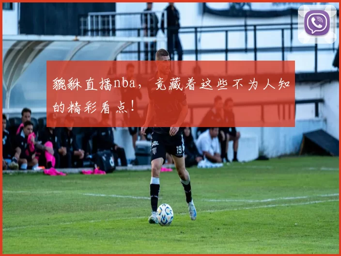 貔貅直播nba，竟藏着这些不为人知的精彩看点！