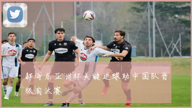 郝海东亚洲杯关键进球助中国队晋级淘汰赛