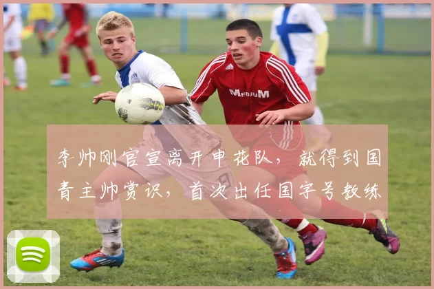 李帅刚官宣离开申花队，就得到国青主帅赏识，首次出任国字号教练
