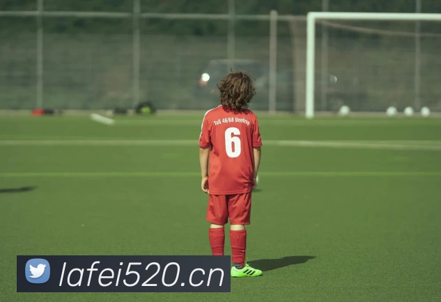 leyu乐鱼官方网站登录平台生态图